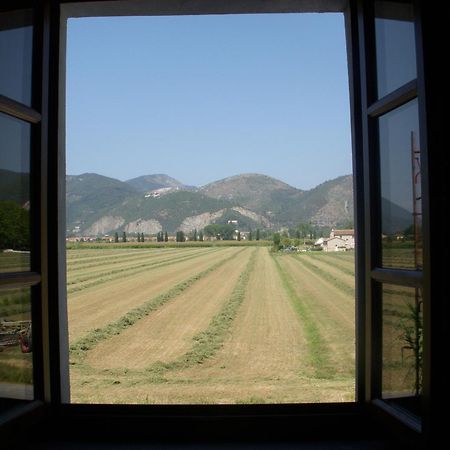 B&B Antica Dimora San Giuliano Terme Exterior foto